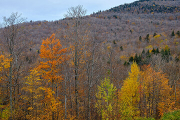 Mountains near Stowe Vermont in Full Autumn colors