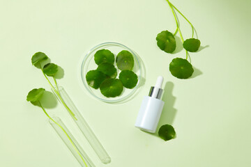 
Glass petri dish and test tube with centella asiatica (gotu kola) extract and serum bottle mockup . Research and develop cosmetic production in the laboratory. Top view image