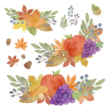 8 Best 木の実 Images Stock Photos Vectors Adobe Stock