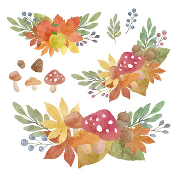 8 Best 木の実 Images Stock Photos Vectors Adobe Stock