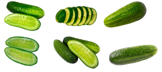 A set of ripe and juicy cucumbers isolated on a white background.Fresh and bright vegetables on a white background.Use for labels of posters and web design.