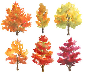 Set of watercolor autumn trees isolated on white background. Hand drawn illustration - 453030044