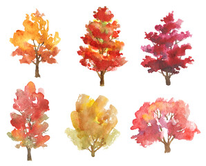 Set of hand drawn watercolor autumn trees isolated on white - 453030068