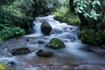 Naklejka na ściany i meble Cascading stream displaying its beauty