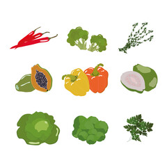 a set of vegetables, illustration isolated on a white background