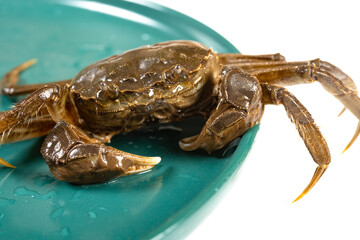 alive crab running out from a dish