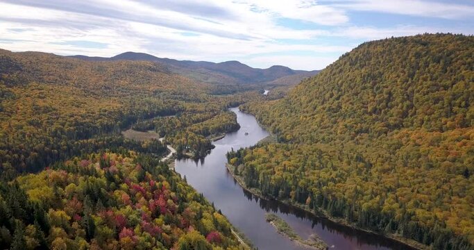 Flying over river and mapple forest, beautiful autumn colors