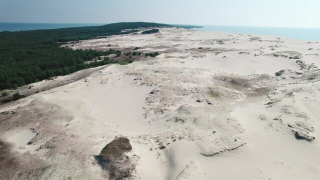 Curonian Spit, Efa dune. A sand dune is bordered by a forest.