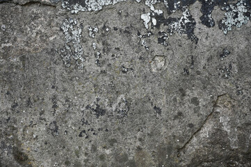 concrete wall texture