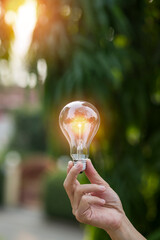 Light bulbs that grow, in the concept of energy in nature.