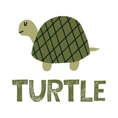 Childrens hand-drawn illustration of a cute turtle. Crawling turtle illustration. Lettering. Illustration for cards, prints, posters.