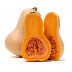 butternut squash isolated on white background. 