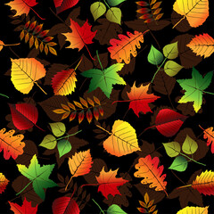 Autumn seamless pattern of bright leaves on a dark background. Vector cover with colorful falling leaves. Scrapbook, gift wrapping paper, textiles