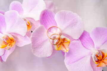 Wedding rings are on the purple orchids
