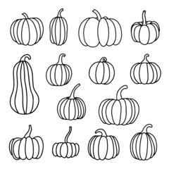 Pumpkins drawing doodle hand drawn set isolated on white background vector
