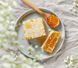 plate of fresh honey combs
