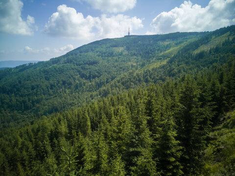 Widok na szczyt Skrzyczne w Beskidzie Żywieckim, krajobraz górski, lasy iglaste, sosny © Magdalena