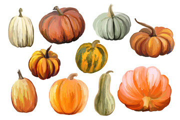 Autumn collection of pumpkins