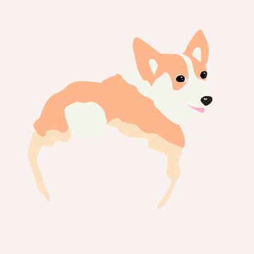 Corgi stands with his back. Corgi butt and peach. the colors in the picture are beige, peach, white and pink.