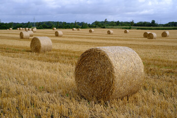 Fototapeta na wymiar Abgelegte Rundballen mit Stroh auf einem Getreidefeld