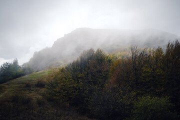 Majestic morning mountain landscape with colorful forest and cloudy sky. foggy autumn on the mountain slopes