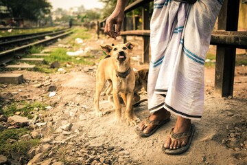 バングラデシュ　犬