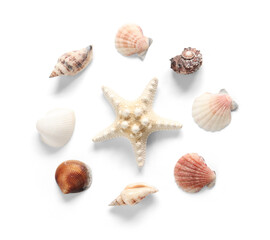 ヒトデや貝殻 2　白背景