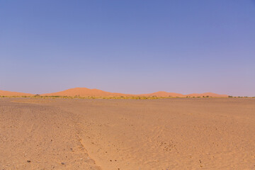 Fototapeta na wymiar モロッコ　サハラ砂漠
