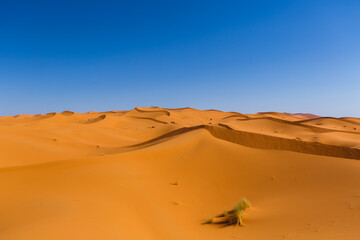 Fototapeta na wymiar モロッコ　サハラ砂漠