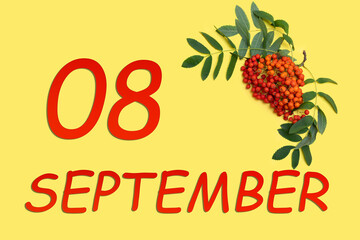 Rowan branch with red and orange berries and green leaves and date of 8 september on a yellow...