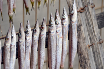 Fototapeta premium 干された魚