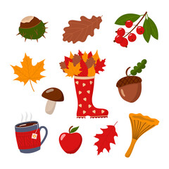 Autumn collection, isolated vector illustration