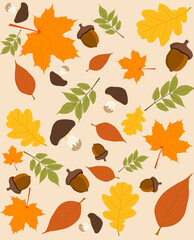 Autumn background full of colors with leaves and berries.