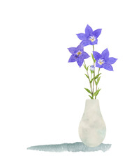 花瓶に入った桔梗の花　水彩画