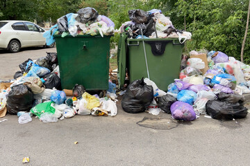 Trash bin overloaded, no garbage collection problem