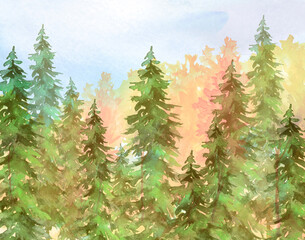 Watercolor autumn trees of yellow, red, orange color.Watercolor group of trees - fir, pine, cedar, fir-tree. green forest, landscape, forest landscape. Abstract creative background.