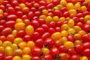 Variety of colorful organic tomato background