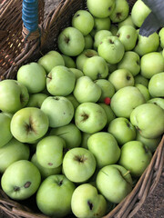 green apples in a basket
