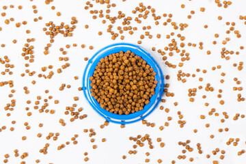 Dry food for kittens and cats in a blue plate on white with space for text. Balanced food, shop for animals