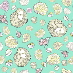 Vector pattern of sea shells. Seamless marine illustration as an icon, logo, template for a designer, sea