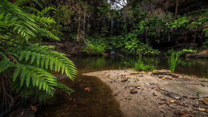 Dobson cave pool next to little river, Nattai wilderness, NSW, Australia.