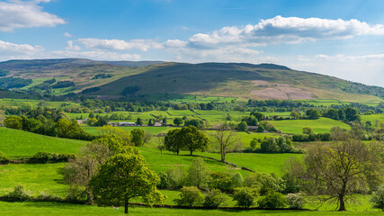 Fototapeta na wymiar Yorkshire Dales landscape near Sedbergh, Cumbria, England, UK