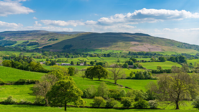 Yorkshire Dales landscape near Sedbergh, Cumbria, England, UK