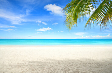 Fototapeta na wymiar Summer sand beach with coconut palm leaves foreground.