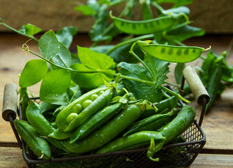 Fresh green peas pods, green peas with sprouts.  Fresh vegetables