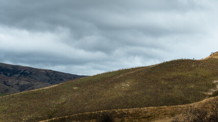 Moody drought landscape in Canterbury region, South Island, New Zealand