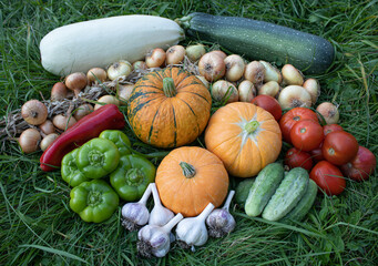 Autumn vegetables, close-up. Pumpkins, green and red paprika, onions, tomatoes and cucumbers are on green grass. Organic food background. The concept of Harvest, Thanksgiving day, Halloween
