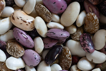 Close up of Multicolored beans
