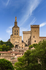 Fototapeta na wymiar Avignon Cathedral and Palais des Papes. Historical cityscape in France.