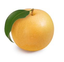 Fresh Snow pear fruit isolated on white background, Fresh Japanese Kumamoto pear fruit isolated on white background With clipping path.